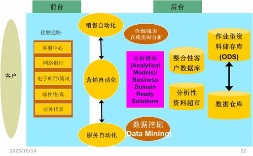 创业类型多样性的解读与展望