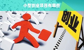 小型创业项目有哪些