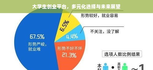 大学生创业平台，多元化选择与未来展望