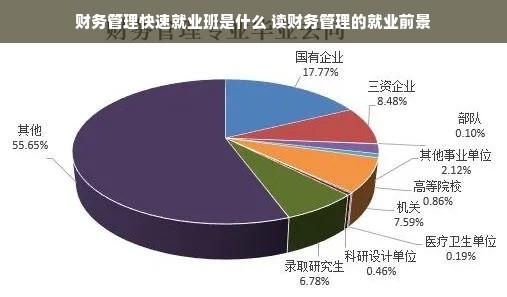 财务管理快速就业班是什么 读财务管理的就业前景