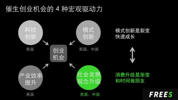 定安创业有哪些，深度解析创业生态系统与机遇