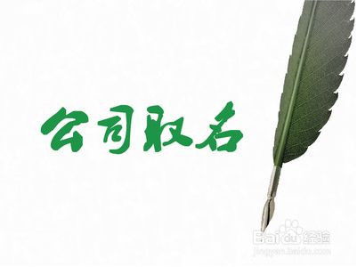 创业公司名称的探索与命名