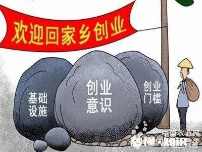 回农村，哪些创业政策可以为你提供帮助？