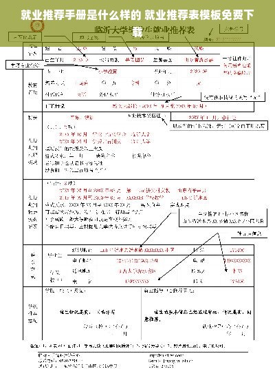 就业推荐手册是什么样的 就业推荐表模板免费下载