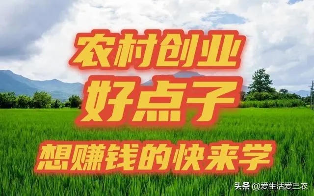 村庄创业成本优势有哪些