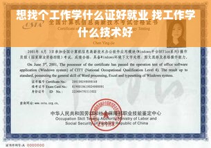 想找个工作学什么证好就业 找工作学什么技术好