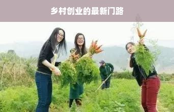 乡村创业的最新门路