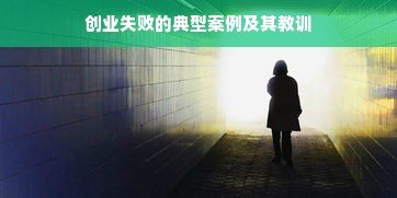 创业失败的典型案例及其教训