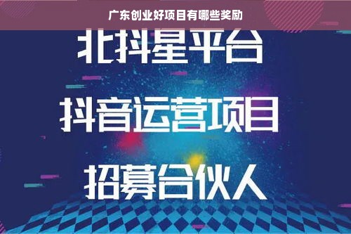 广东创业好项目有哪些奖励