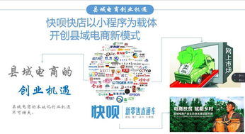 创业者工作特征包括哪些，深入研究与解析