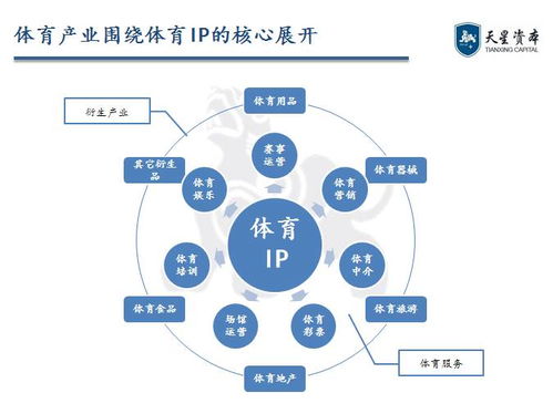 创业者工作特征包括哪些，深入研究与解析