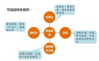 创业投资方向多元化，掌握要点把握商机