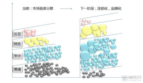 轻医美创业平台的发展与机遇，探索新兴业务模式