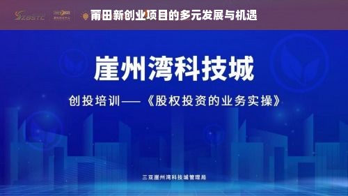 莆田新创业项目的多元发展与机遇