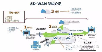 冷门创业项目好处解析，潜力、竞争与创新并行的独特优势