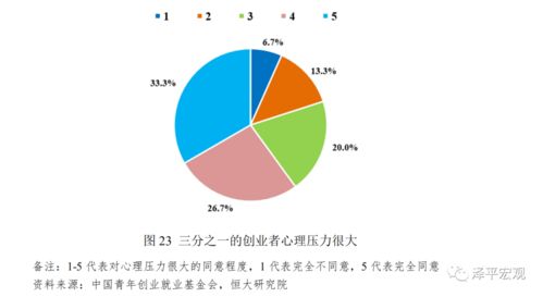 创业投资的风险与挑战，洞悉、评估与应对之道