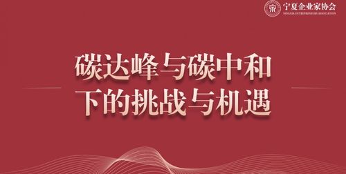 短视频媒体创业资讯深度解析，机遇、挑战与未来发展策略