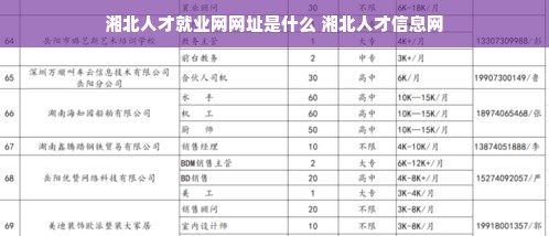 湘北人才就业网网址是什么 湘北人才信息网