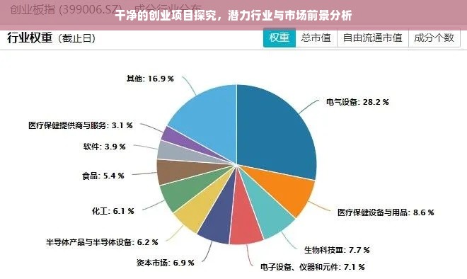 干净的创业项目探究，潜力行业与市场前景分析