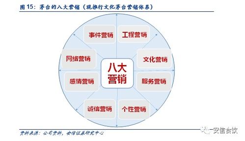 创业历程的阶梯，创业阶段的深度解析