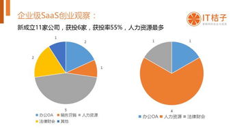 创业类型多样化，探索不同领域与机会