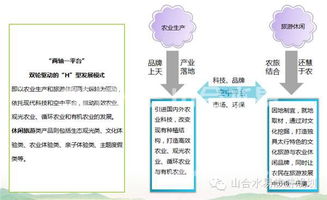 手工编制创业小项目，传承与创新的智慧之选