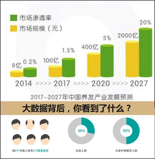 求职者创业模式深度解析，多元路径与创新策略