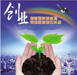 创业项目可以取得哪些好处？