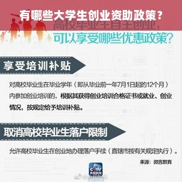 有哪些大学生创业资助政策？