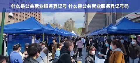 什么是公共就业服务登记号 什么是公共就业服务登记号码