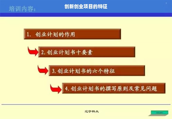 创新创业项目的特征