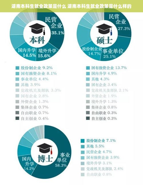 湖南本科生就业政策是什么 湖南本科生就业政策是什么样的