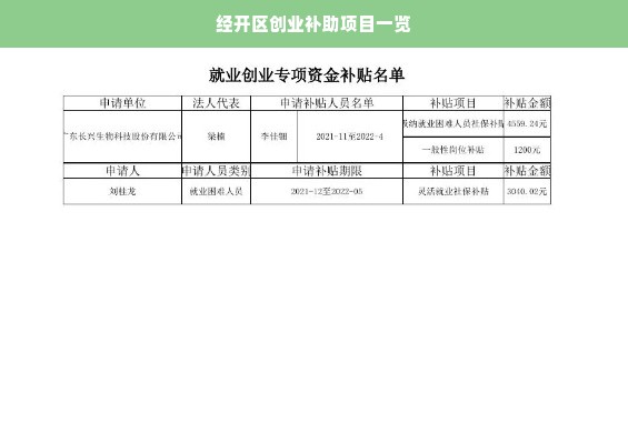 经开区创业补助项目一览