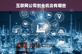 互联网公司创业机会有哪些