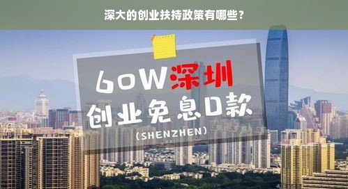 深大的创业扶持政策有哪些？