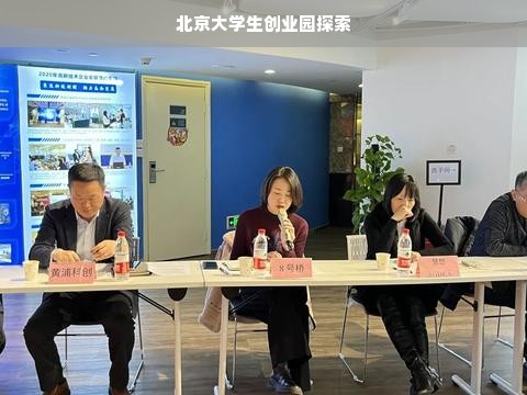 北京大学生创业园探索