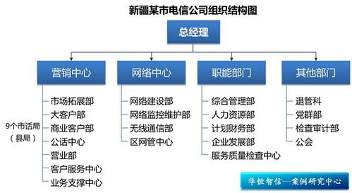 国内创业的组织形式有哪些？