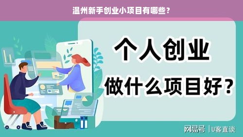 温州新手创业小项目有哪些？