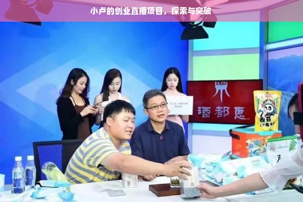 小卢的创业直播项目，探索与突破