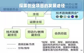 探索创业项目的发展途径