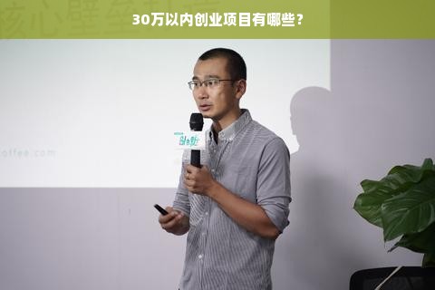 30万以内创业项目有哪些？