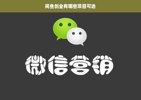 闲鱼创业有哪些项目可选