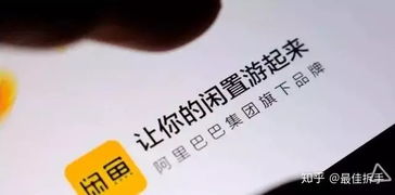 闲鱼创业有哪些项目可选