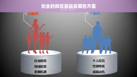 创业的微观基础是哪些方面