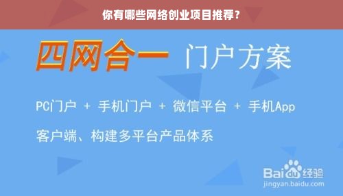 你有哪些网络创业项目推荐？