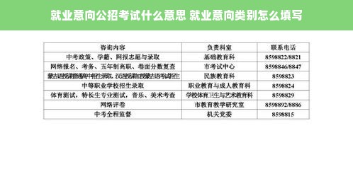 就业意向公招考试什么意思 就业意向类别怎么填写