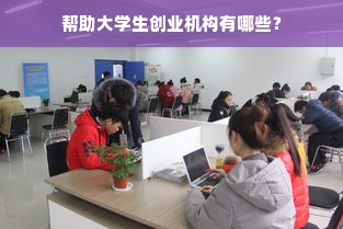 帮助大学生创业机构有哪些？