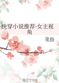 女主视角的创业小说，梦想与坚韧的交织