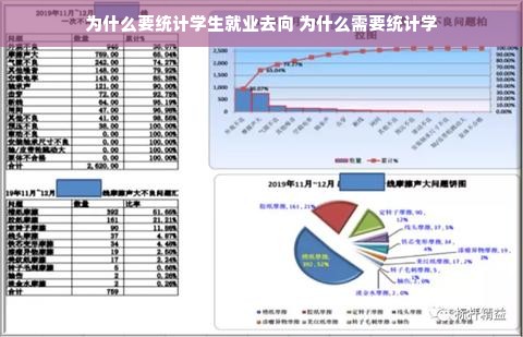 为什么要统计学生就业去向 为什么需要统计学