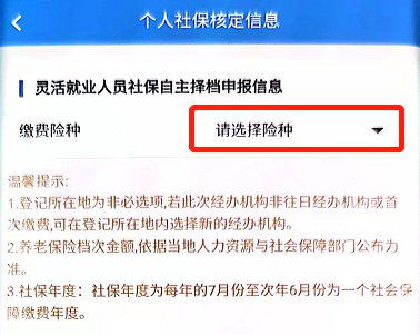 灵活就业都是什么单位交的 灵活就业缴纳什么